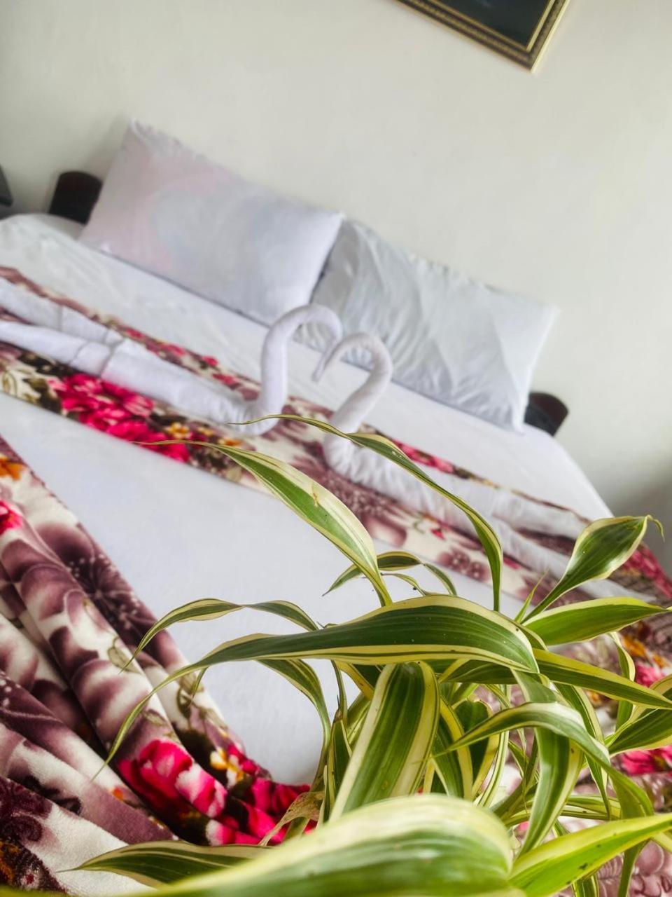 Farah Guest Inn Haputale Luaran gambar